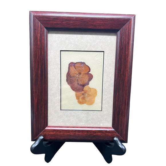 Framed Pair of Pressed Pansies in Great Condition No Damage to Custom Frame - Picture 1 of 2